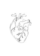 Heart Anatomy Line Art | Maak je eigen poster