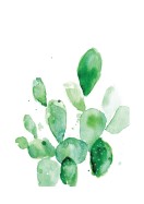 Cactus Watercolor Art | Maak je eigen poster