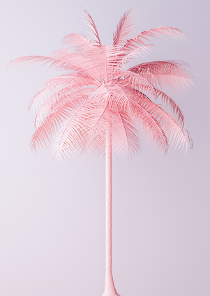 Pink Palm Tree