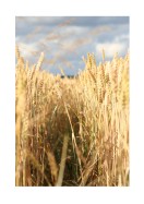 Wheat Field | Maak je eigen poster