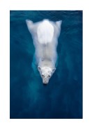 Swimming Polar Bear | Maak je eigen poster