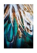 Colorful Feathers | Maak je eigen poster