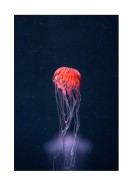 Vibrant Jellyfish In The Ocean | Maak je eigen poster