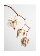 Dried Flower Petals | Maak je eigen poster