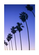 Palm Trees At Sunset In California | Maak je eigen poster