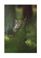 Wild Lynx In Nature | Maak je eigen poster