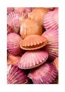 Pink Sea Shells | Maak je eigen poster