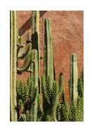 Cactus Plant In The Sun | Maak je eigen poster