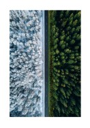 A Forest In Summer And Winter | Maak je eigen poster