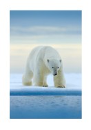 Polar Bear In The Wild | Maak je eigen poster