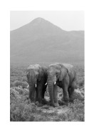 Two Elephants In Black And White | Maak je eigen poster