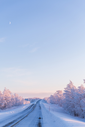 Winter Wonderland Landscape View