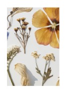 Dried Flowers Collection | Maak je eigen poster