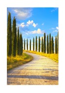Cyprus Trees In Italy | Maak je eigen poster